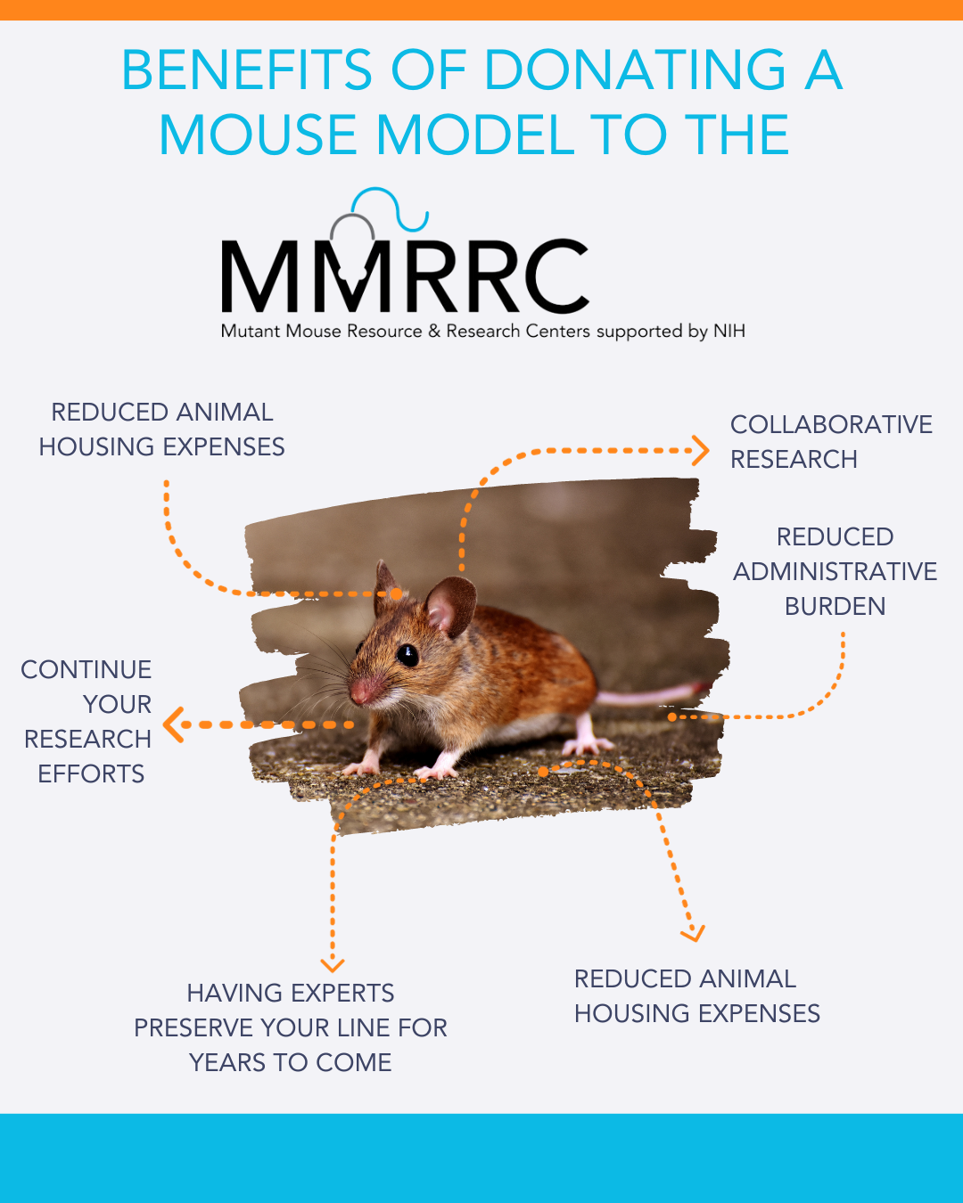 Visual representation of the benefits of donating your mouse strain