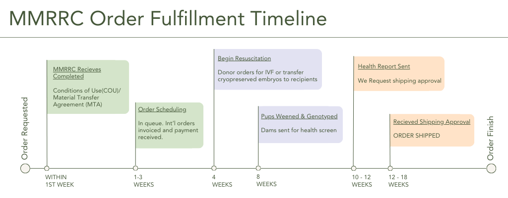 Order Fulfillment Timeline